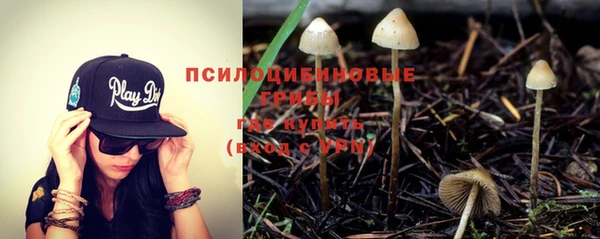 спиды Балахна