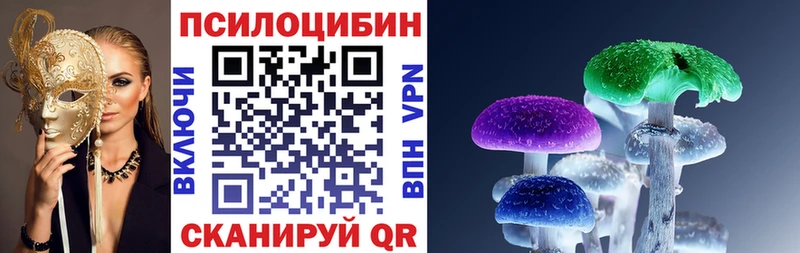 Галлюциногенные грибы мухоморы  ОМГ ОМГ онион  Шенкурск 